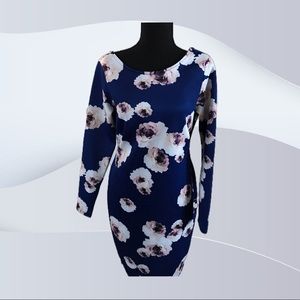 Roses blue kardashian dress